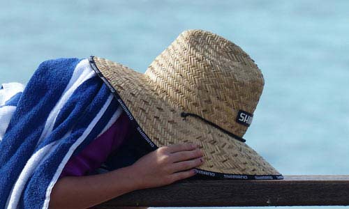 手机轰在线轰炸免费