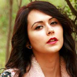 手机轰在线轰炸免费